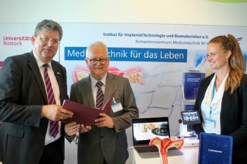meyer&IBB direktor meyer&IBB direktor